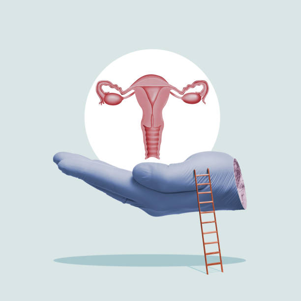 istock Concept of a healthy female reproductive system. 1441669015
