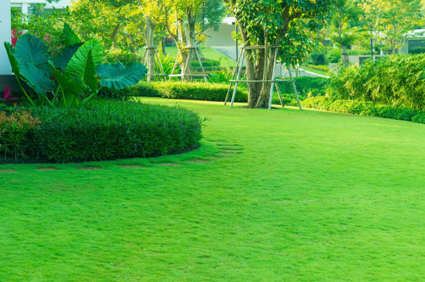 istock Luxury Modern house with a beautiful landscaped front yard with fresh green grass both shrub and trees Garden landscape design grass smooth lawn with curve form the bush mountain blue sky background. 1441669355