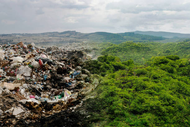 if people don't pollute the environment, world and nature can reborn. Half of the picture presents the pollution an the other half presents green. renewable plastic stock pictures, royalty-free photos & images