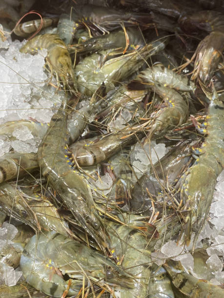 istock shrimp at retail market 1441672942