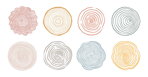 Tree ring wood circle set. Hand drawn tree ring pattern, line ripple circle wood texture. Wood organic slice line design. Vector Tree ring wood circle set. Hand drawn tree ring pattern, line ripple circle wood texture. Wood organic slice line design. Vector illustration. drawing of hand tool stock illustrations