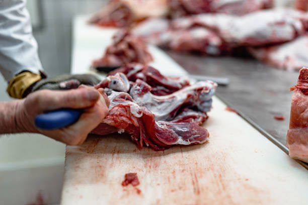 istock Meat industry slaughterhouse and food processing 1441677335