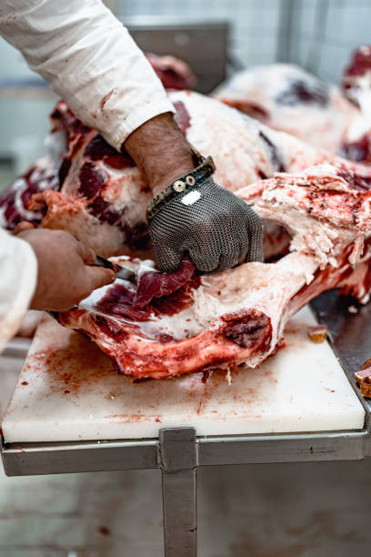 istock Meat industry slaughterhouse and food processing 1441677408