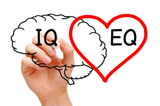 istock EQ Emotional Intelligence Plus IQ Brain And Heart Concept 1441679763