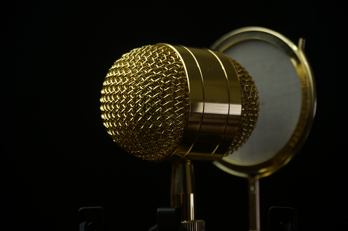 Condenser microphones function specifically to process vocal sound signals and can only be used indoors or in a studio.