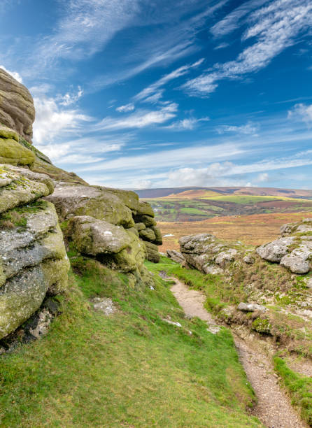 istock Footpath by Haytor on Dartmoor 1441690691
