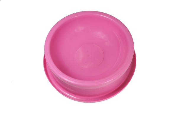 istock Single eating or drinking bowl For cats and dogs, selective focus 1441690982
