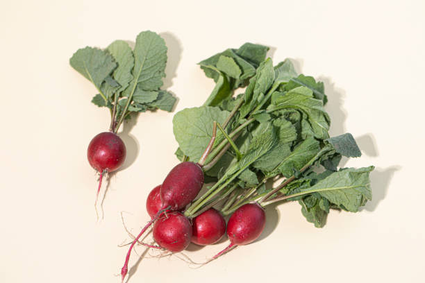 istock Fresh red radish isolated on beige background 1441691452