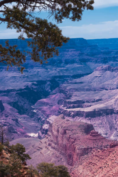 Grand Canyon stock photo