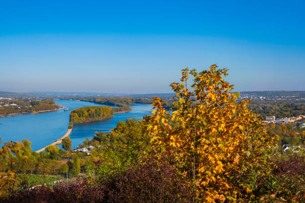 istock View of the Rhine 1441694969