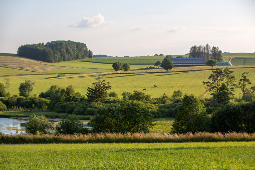 pond and farm in rural landscape of belgian haute fagnes