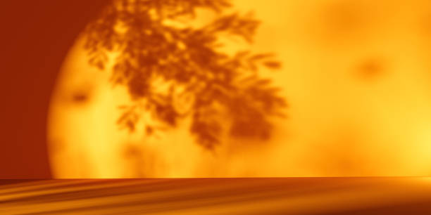 istock Shadow background of tree leaves - 3D 1441701733