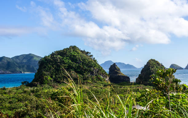 260+ Fotos, Bilder und lizenzfreie Bilder zu Insel Zamami Fotos iStock