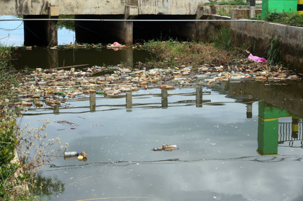 istock pollution of plastic waste in the reservoir. 1441706862