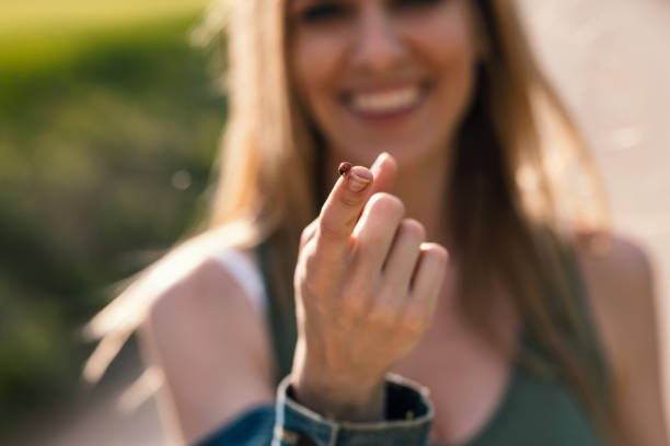 Shot of smiling beautiful woman holding a ladybug while showing it to camera in rapessed field.