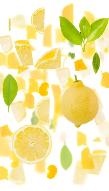 Lemon fruit piece, slice and leaf collection isolated on white.