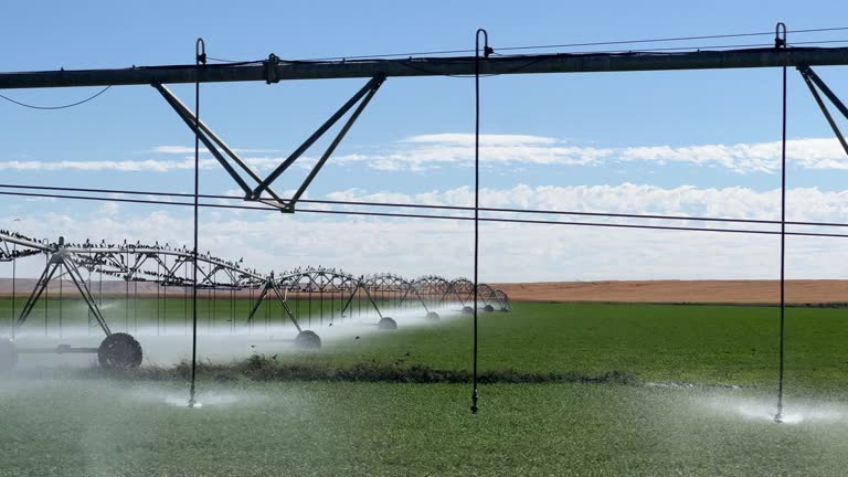 Trucking Shot of a Large-Scale Spray Irrigation System Watering a Field of Alfalfa on a Sunny Day in King Hill, Idaho in Elmore County with Birds Flying