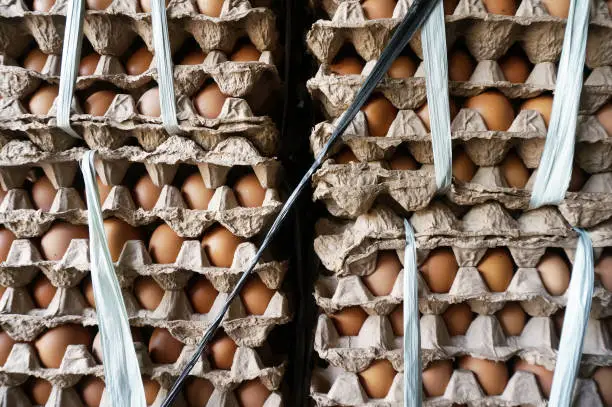 An egg carton is a carton designed for carrying and transporting whole eggs.