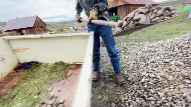 A Teenaged Caucasian Boy Using a Shovel to Move Rocks from One Pile to a Trailer Bed on a Farm
