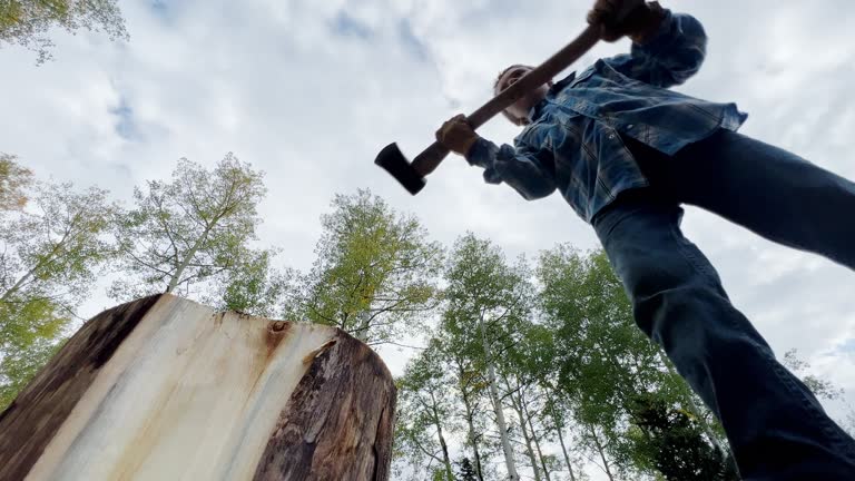 A Looking Up Shot of an Elementary-Aged Caucasian Boy Using an Axe to Split Wooden Logs