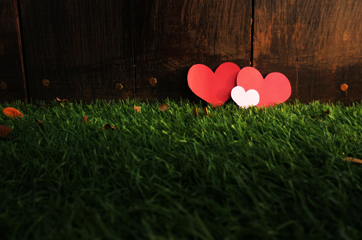 Paper Love Shape on green grass background