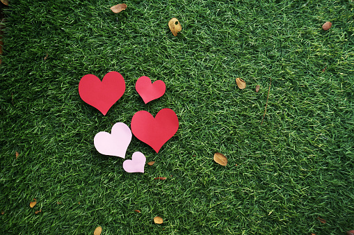 Paper Hearts shape on green grass background
