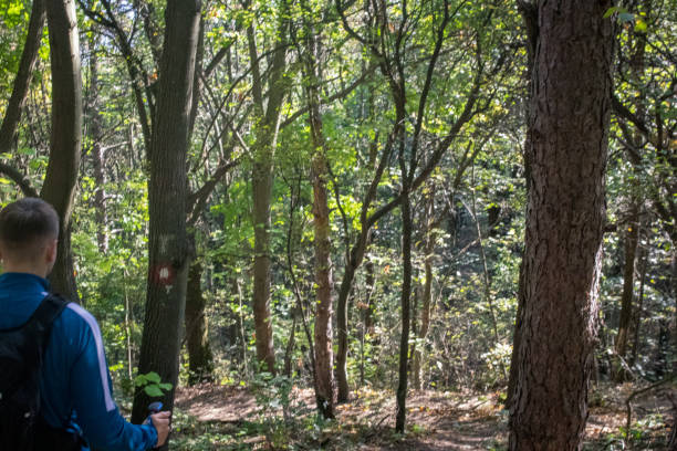 istock Young Man Walking on Natural Trail in Forest 1441714739