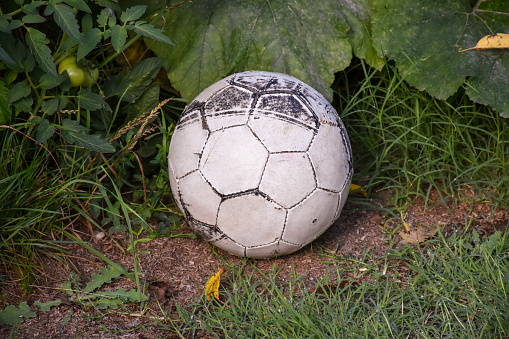 Soccer ball in the garden, old and weathered football in the garden