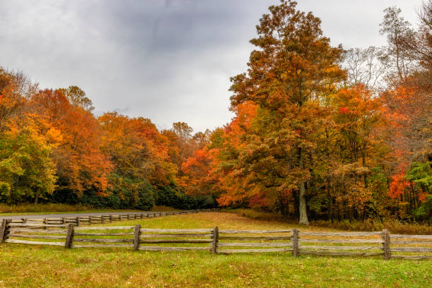 istock Blue Ridge Parkway in Virginia Autumn Landscape view. 1441720258