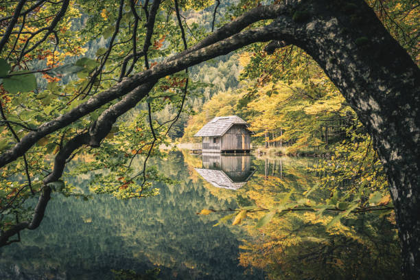 istock Lake Hinterer Langbathsee close to Gmunden and Ebensee in Austria. 1441720632