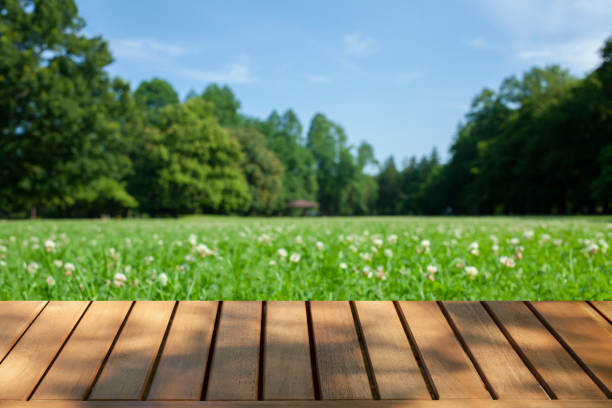 istock wooden table with park bokeh background 1441720705