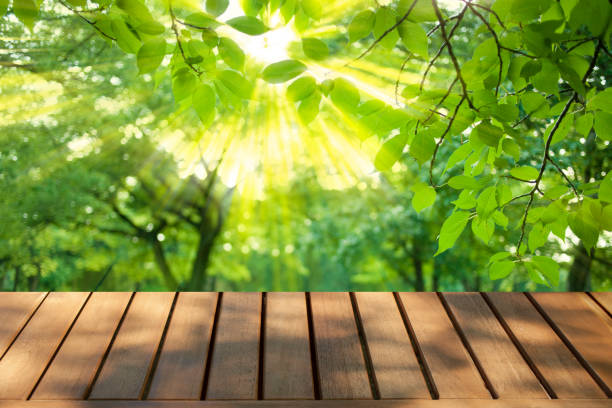 istock wooden table with park bokeh background 1441720747