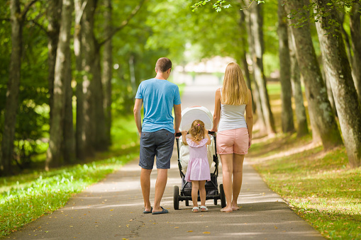 Young adult parents and little daughter pushing baby stroller and walking at tree alley of park in warm sunny summer day. Spending time together and breathing fresh air. Two child family. Back view.