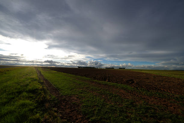 Beautiful sunset over farmlands with stunning clouds forming with a storm with single road leading through it. Taken on the road during a roadtrip in South Africa