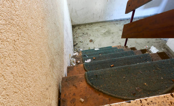 feche os degraus de madeira com muito lixo. escada extremamente suja no porão. bagunçado não faz varrer (kehrwoche) . - basement staircase old steps - fotografias e filmes do acervo