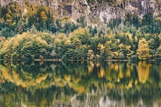 Lake Laudachsee in Upper Austria during autumn. Scenic landscape with forest trees reflection.