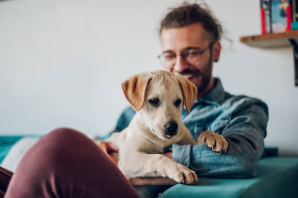 istock Man petting his adopted dog while sitting on the couch at home 1441731138