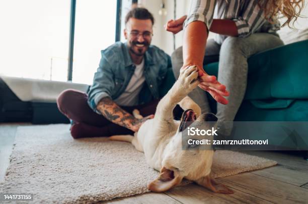 Couple Petting Their Adopted Dog At Home Stock Photo - Download Image Now - Dog, Playing, Playful