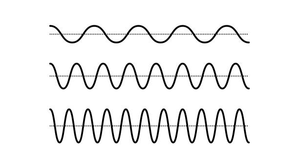 illustrazioni stock, clip art, cartoni animati e icone di tendenza di set di segnali sinusoidali. raccolta di onde sonore curve nere. concetto di audio vocale o musicale. linee di impulso. grafica radio elettronica con diverse frequenze e ampiezza. vettore - sine wave