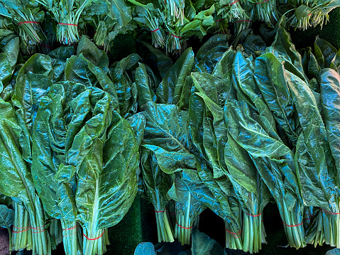 Organic rainbow chard: spray-free leafy greens in fan arrangement isolated on white background arrangement on dark rustic wooden background