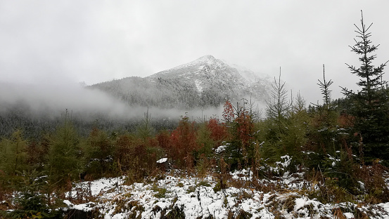 Misty mountain  peak covered in snow in the High Tatras  in autumn