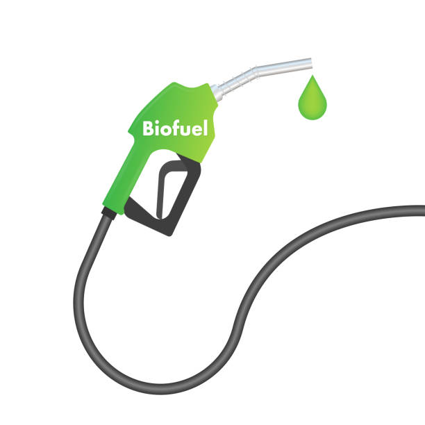 istock Biofuel Gas Station. Eco Petrol. Vector stock illustration. 1441737005