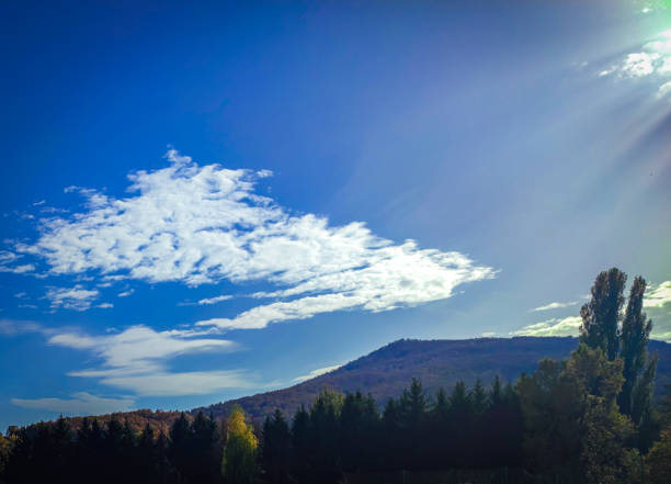 Stock photography of autumn colours and fgresh vibes