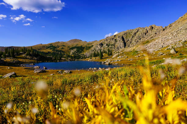 istock Alpine Lake Mountain Landscape in Summer 1441741872