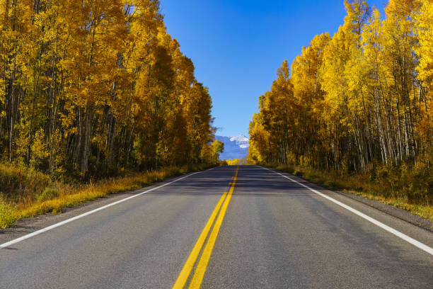 istock Fall Autumn Colors Around Telluride 1441743164