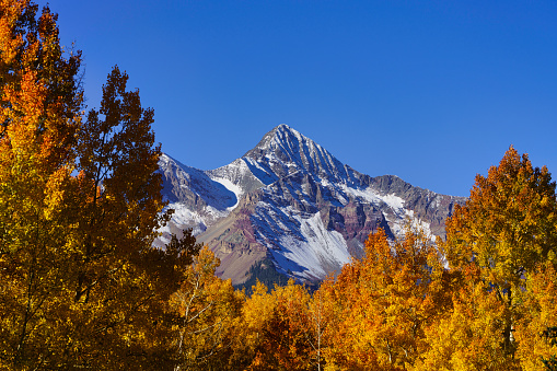 Fall Autumn Colors Around Telluride