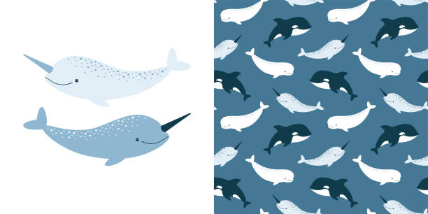 일각고래가 있는 귀여운 벡터 컬렉션. 원활한 패턴과 동물 그림 - 일각돌고래 stock illustrations