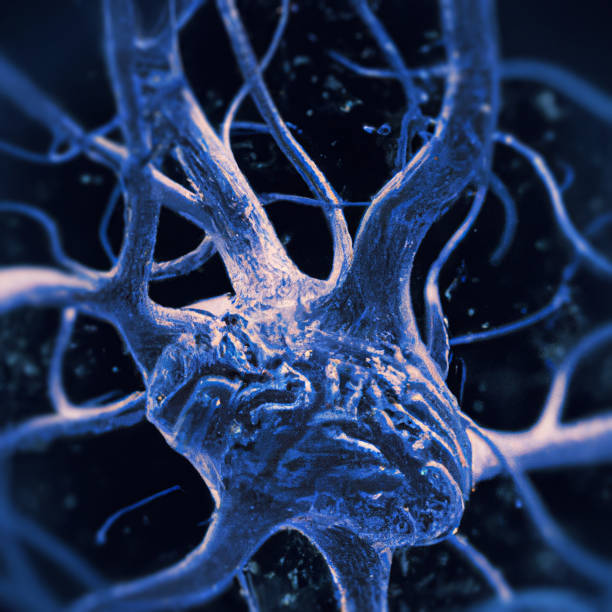 Microscopic view of neurons. Brain connections. Synapses. Communication and cerebral stimulus. stock photo