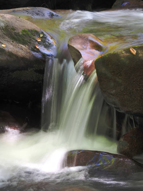 gros plan des rapides de la rivière little pigeon dans le parc national des great smoky mountains - rapid appalachian mountains autumn water photos et images de collection