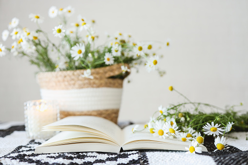 An open book and a bouquet of daisies, atmospheric aesthetic photography.